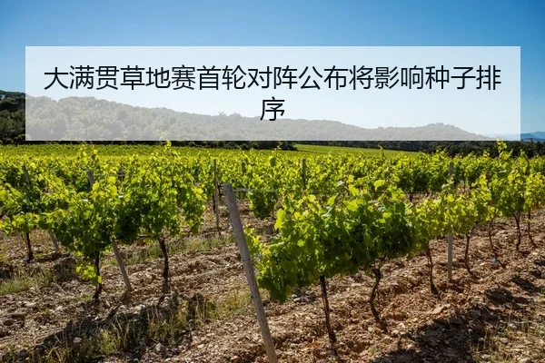 大满贯草地赛首轮对阵公布将影响种子排序
